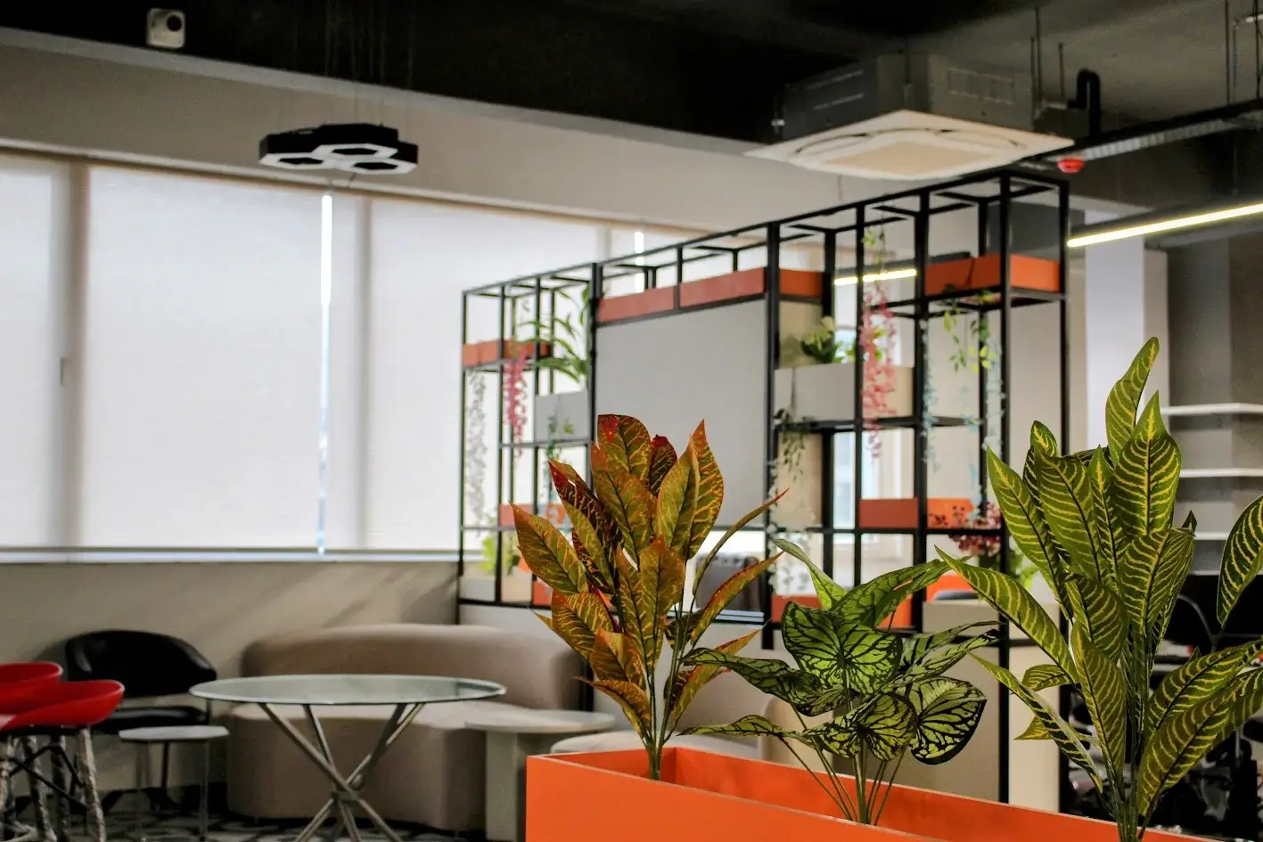 Kohive Office Image